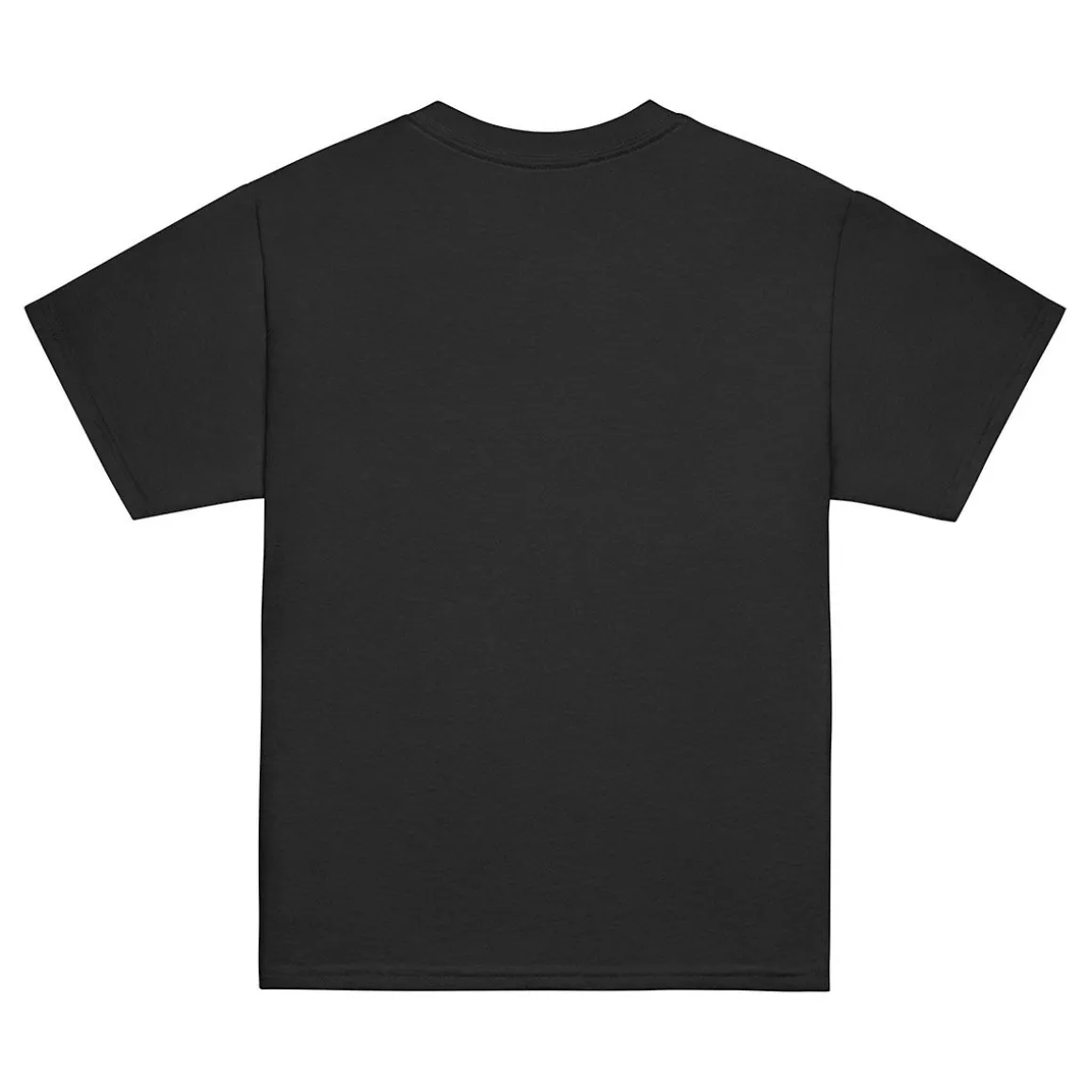 Assistant to the Regional Manager Kids T-Shirt
