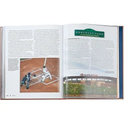 Ballparks Past and Present Personalized Tan Leather-bound Book