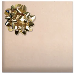 Christmas Star Bow Value Pack