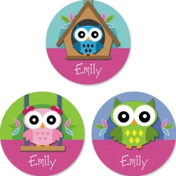 Colorful Owl Personalized Stickers
