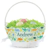 Dinosaur Easter Basket with Personalized Liner