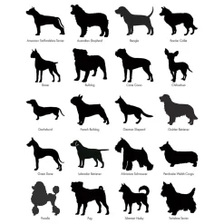 Dog Personalized Wall Hooks