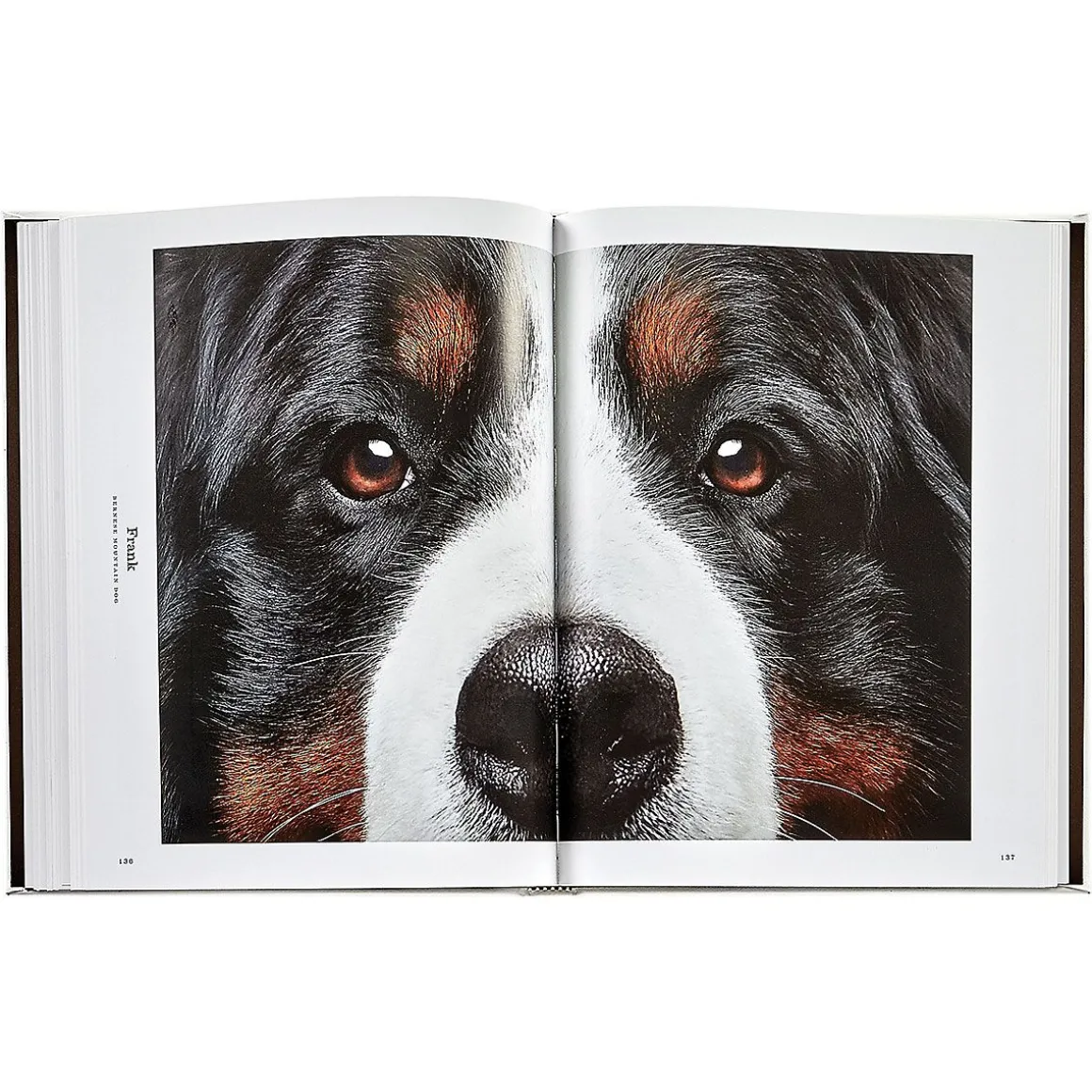 Good Dog Personalized White Leather-Bound Book