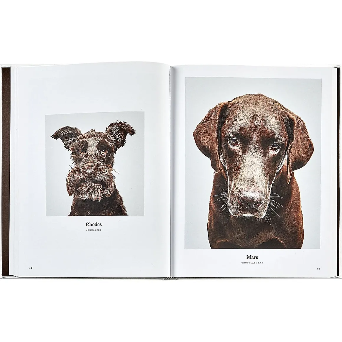 Good Dog Personalized White Leather-Bound Book