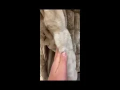 Marbled Faux Fur Throw