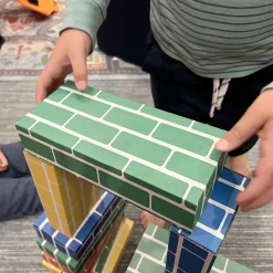 Primary Building Bricks