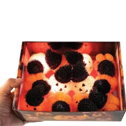 Pumpkin Light-up Halloween Puffers