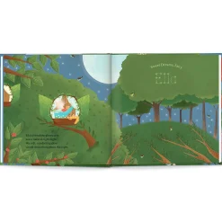 Sweet Dreams Fairy Personalized Storybook