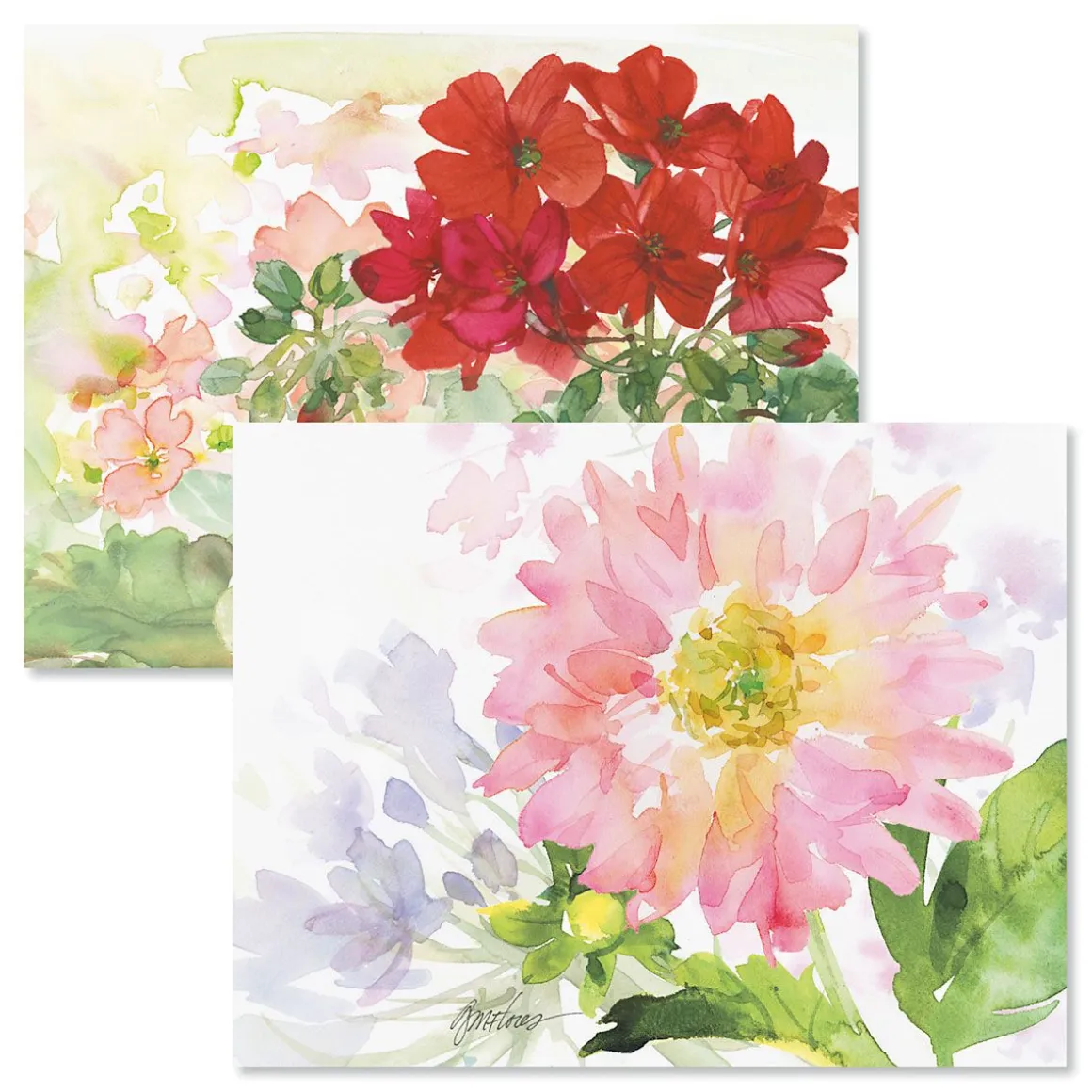 Watercolor Garden Note Card Value Pack